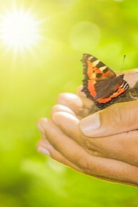 survivior narcissism